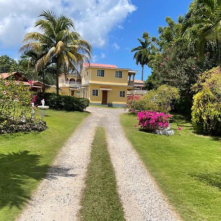 Little Shaw Park Guest House Ocho Rios Kültér fotó