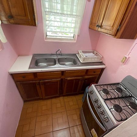 Little Shaw Park Guest House Ocho Rios Kültér fotó