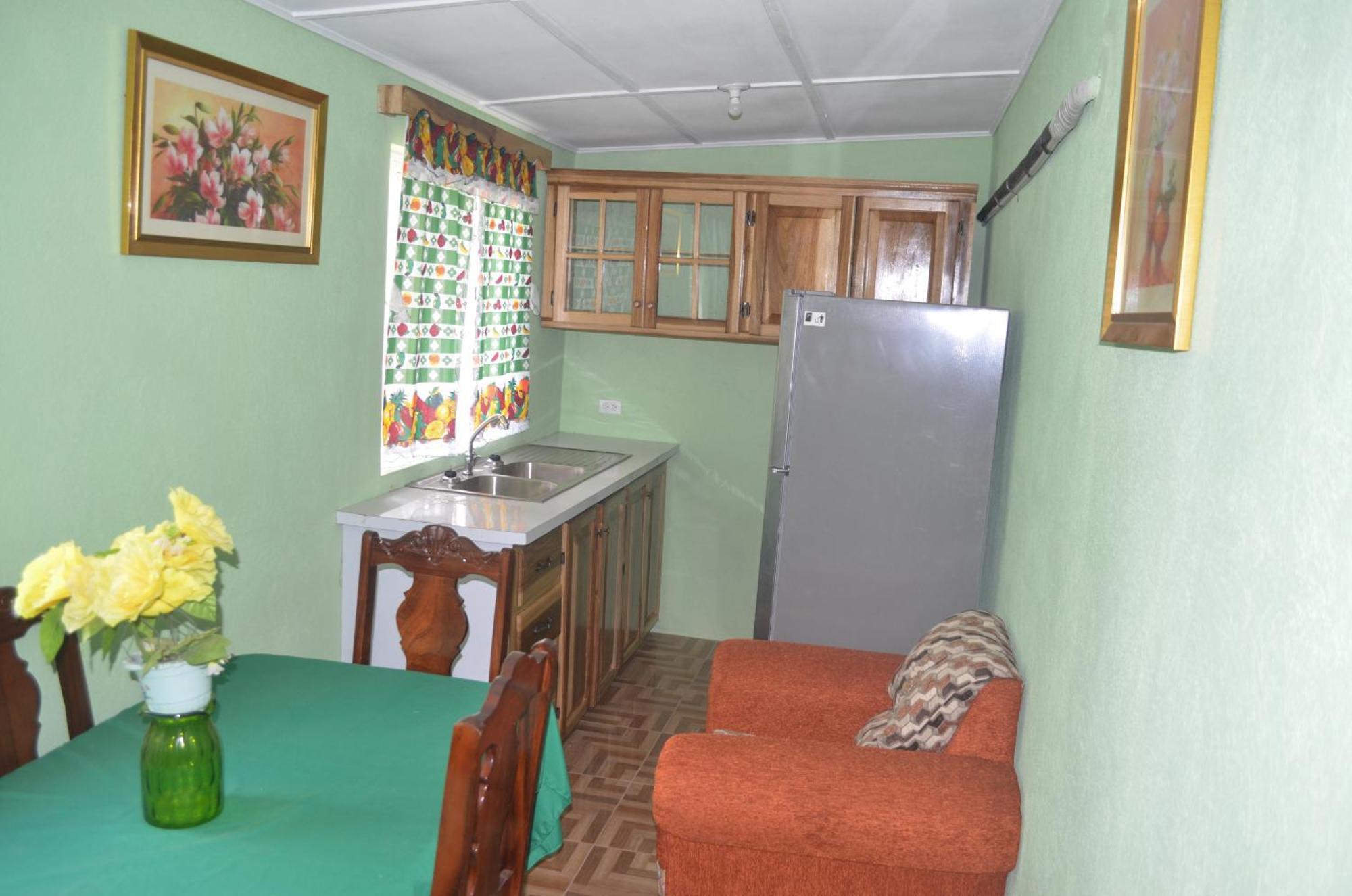 Little Shaw Park Guest House Ocho Rios Kültér fotó