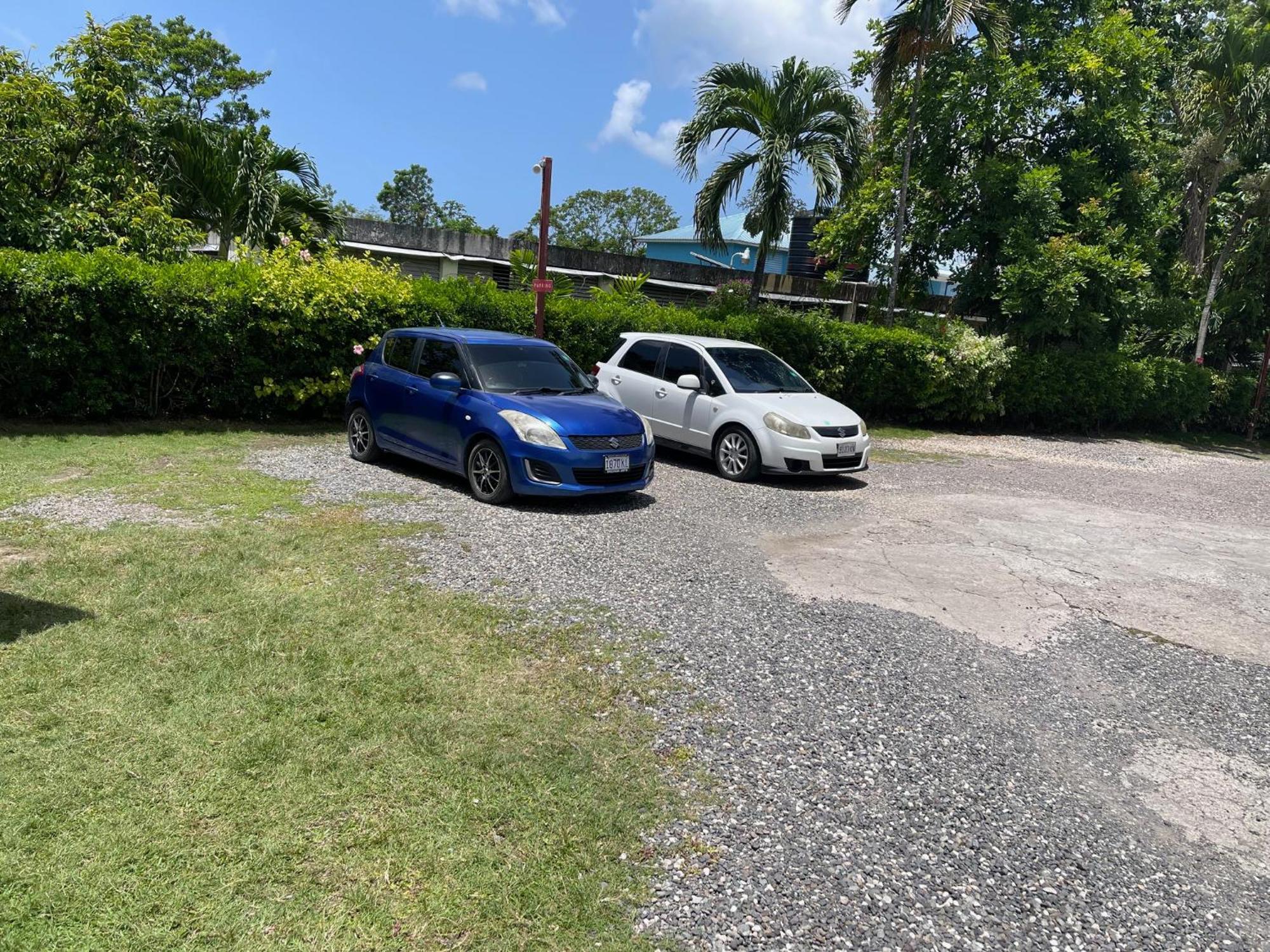 Little Shaw Park Guest House Ocho Rios Kültér fotó