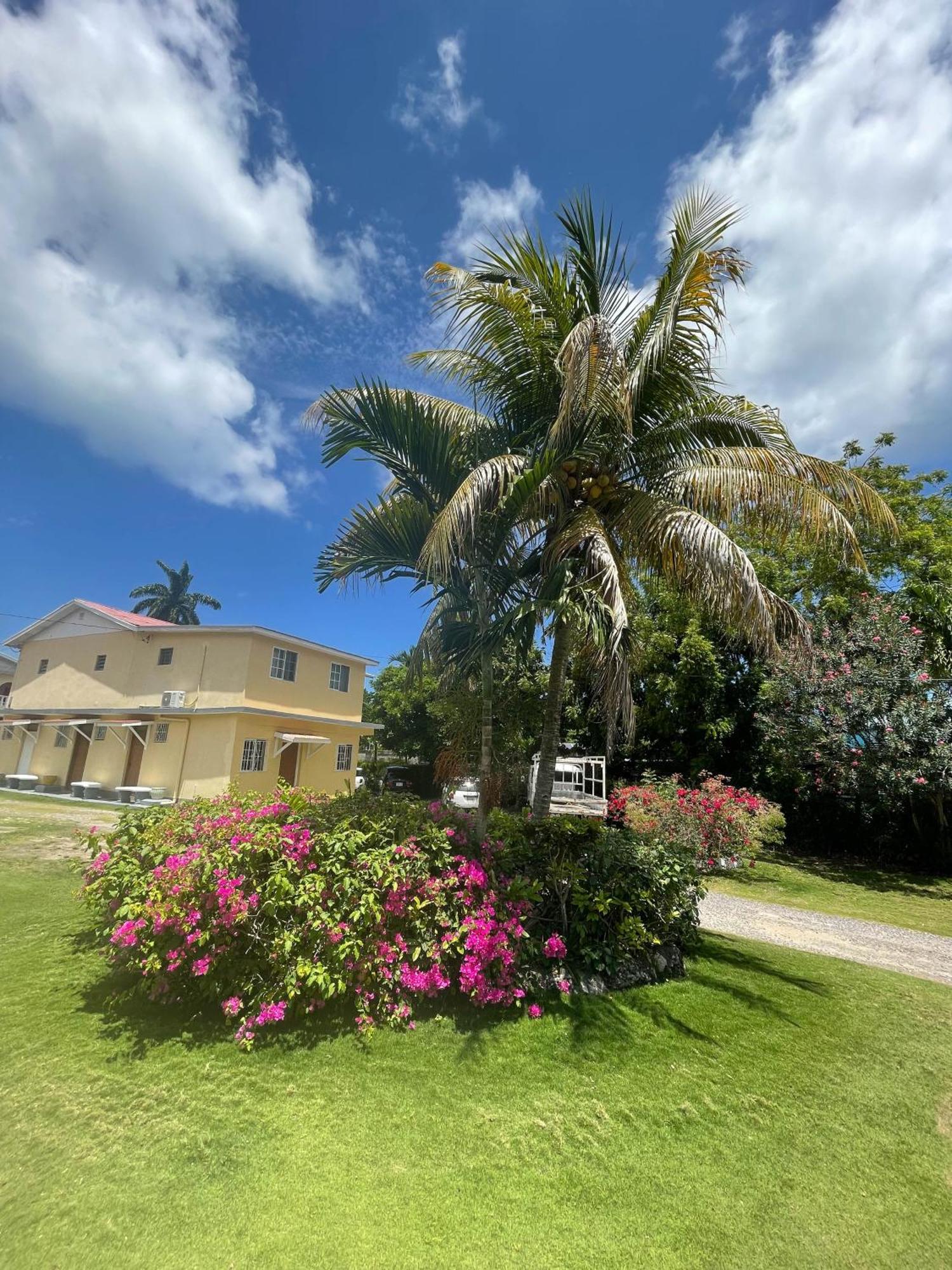 Little Shaw Park Guest House Ocho Rios Kültér fotó